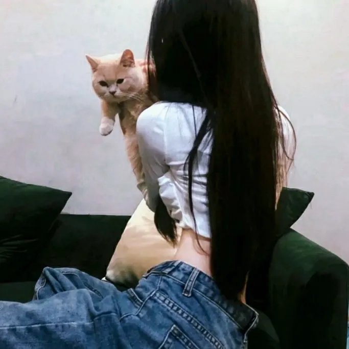 搜索并摧毁